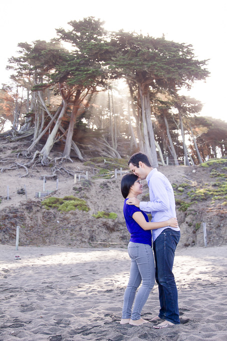 The enchanted tree at baker beach
