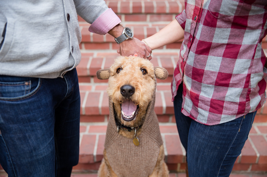 happy dog with very cute sweater and ears standing between mommy and daddy