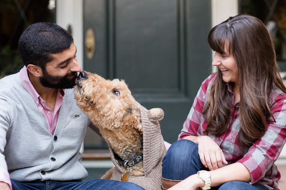 dog kissing its owner