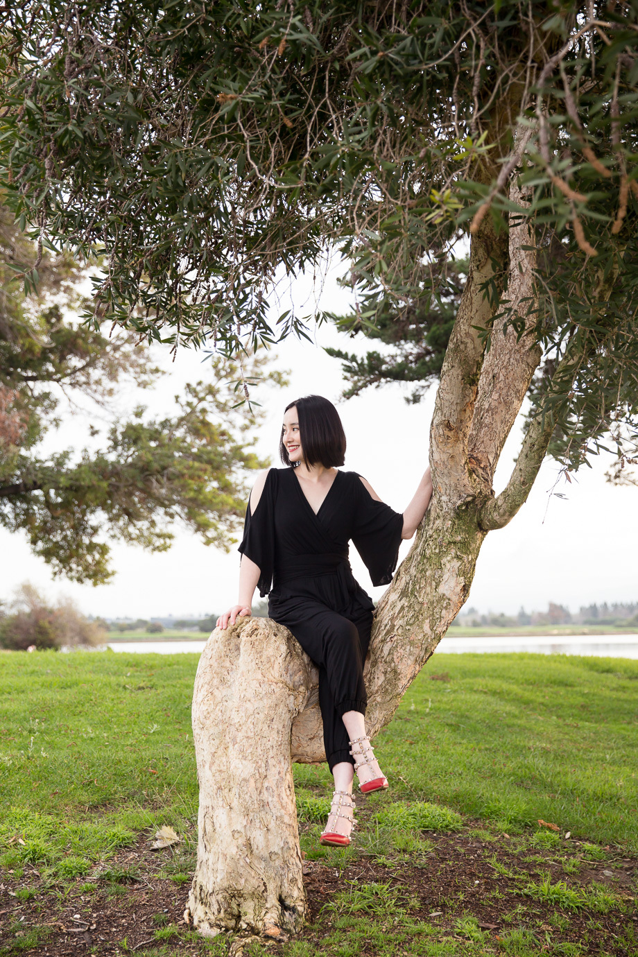 Sitting on the tree like a boss