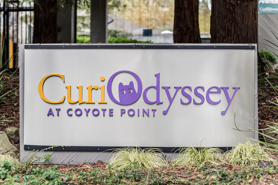 CuriOdyssey real wedding bay area natural light photographer