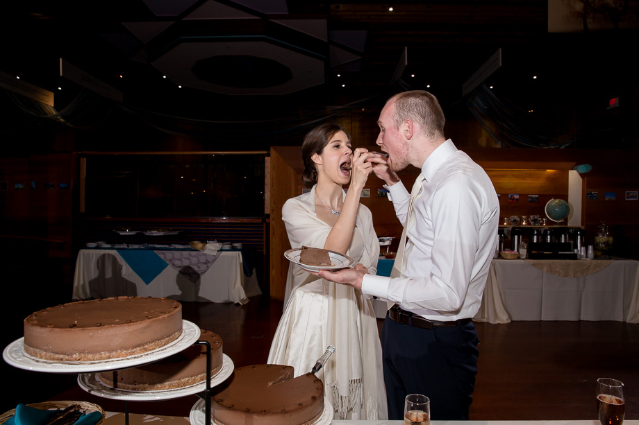 bride and groom feeding each other the wedding chocolate cheesecake
