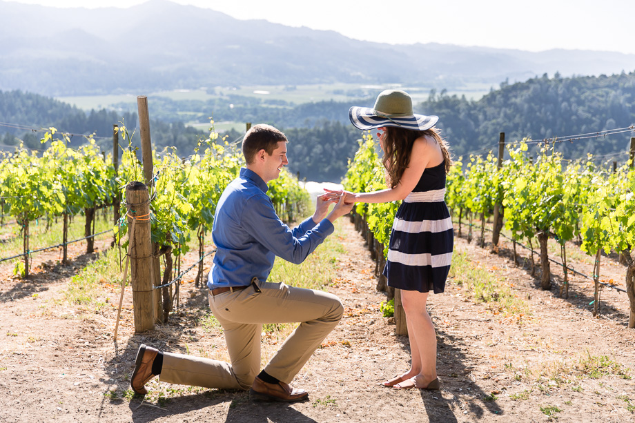 an emotional proposal