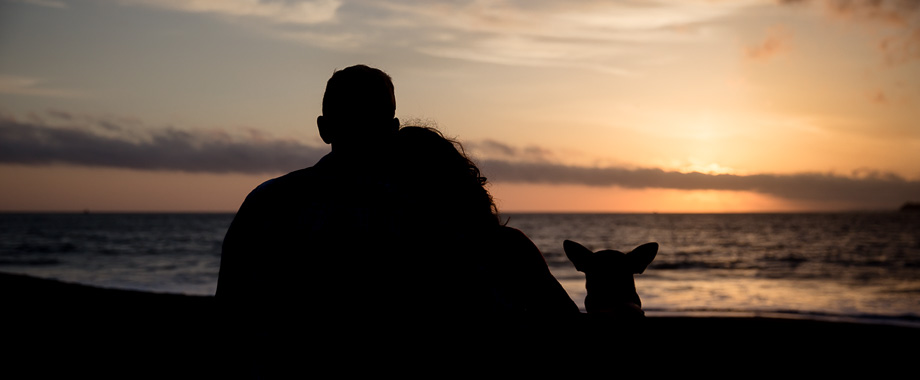 cute engagement photo idea - engaged couple plus baby dog