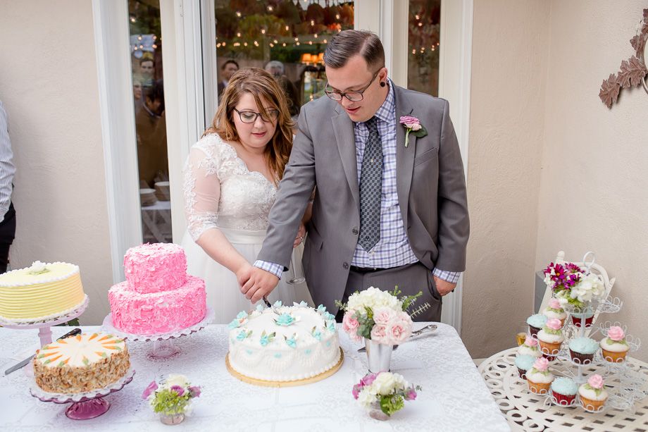 bride and groom cutting the wedding cake