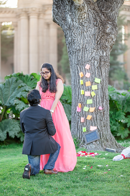 silicon valley surprise proposal