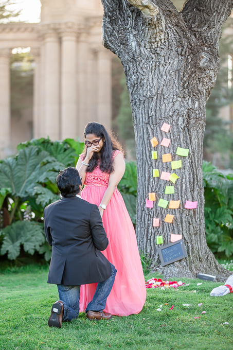bay area surprise proposal