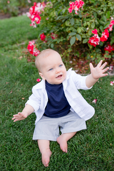 Bay area rose garden baby photo