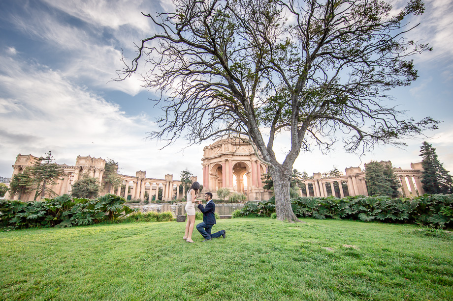 san francisco proposal photographer wide angle palace of fine arts