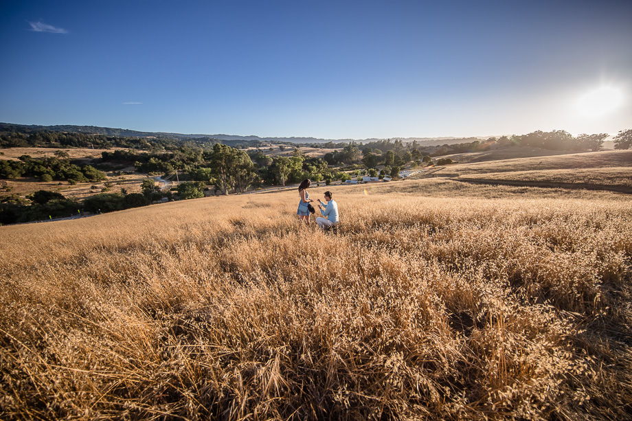 arastradero preserve photo