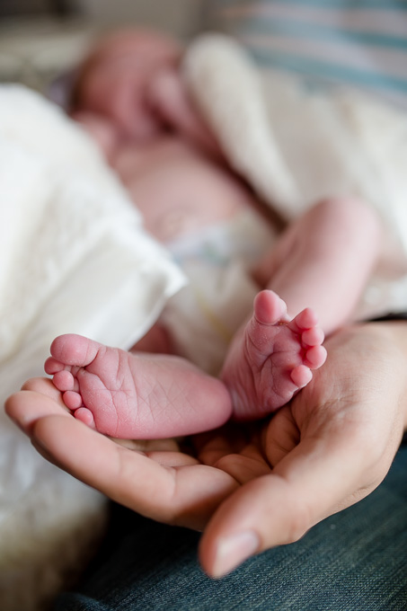 newborns little feet