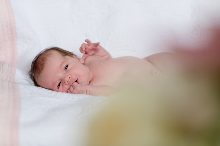outdoor newborn portrait