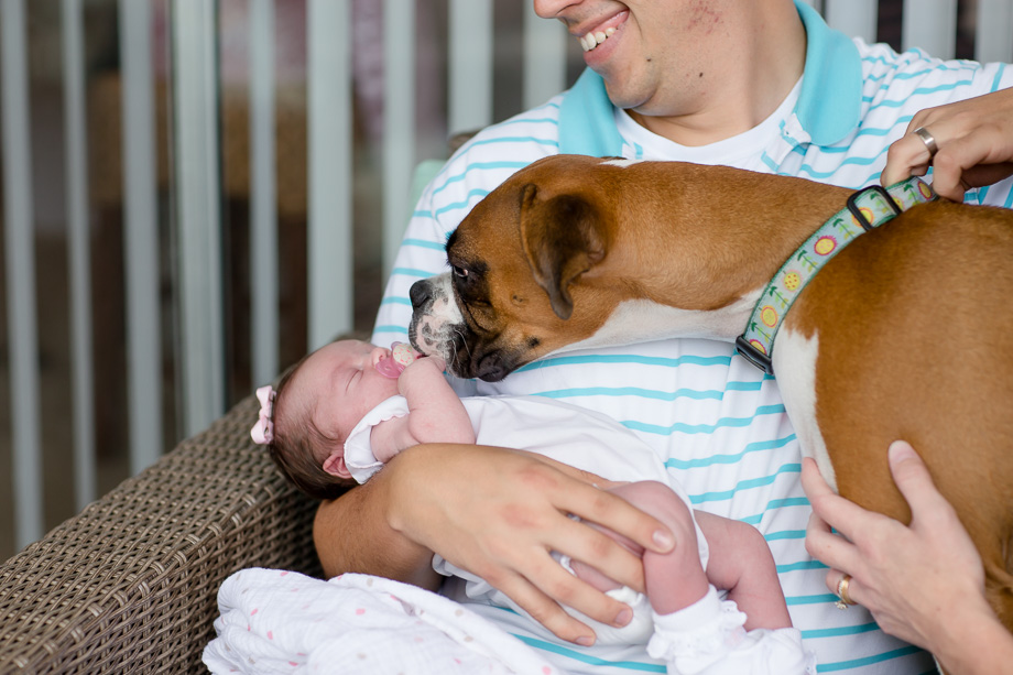 puppy giving kisses to the newborn baby girl