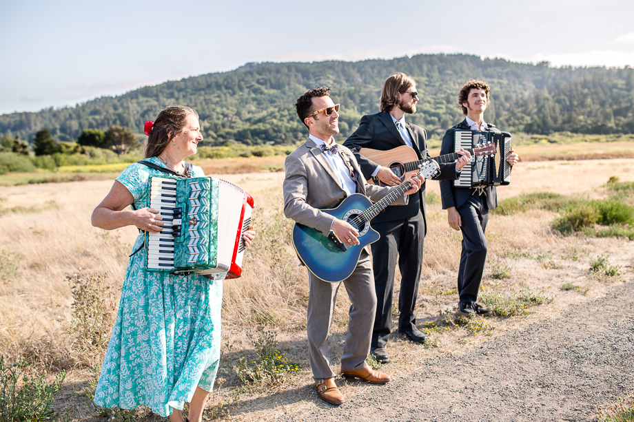 the wedding musicians