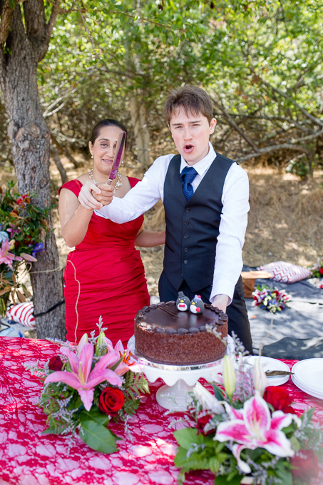 funny wedding cake cutting