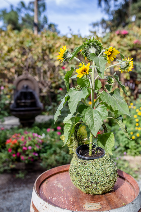 lovely details at coyote ranch