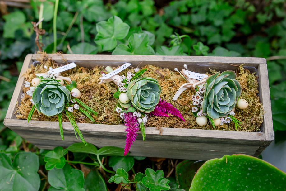 succlent boutonnieres