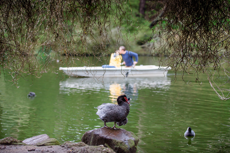 engagement photo with a turkey