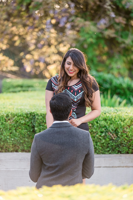 surprise proposal in Pacific Heights