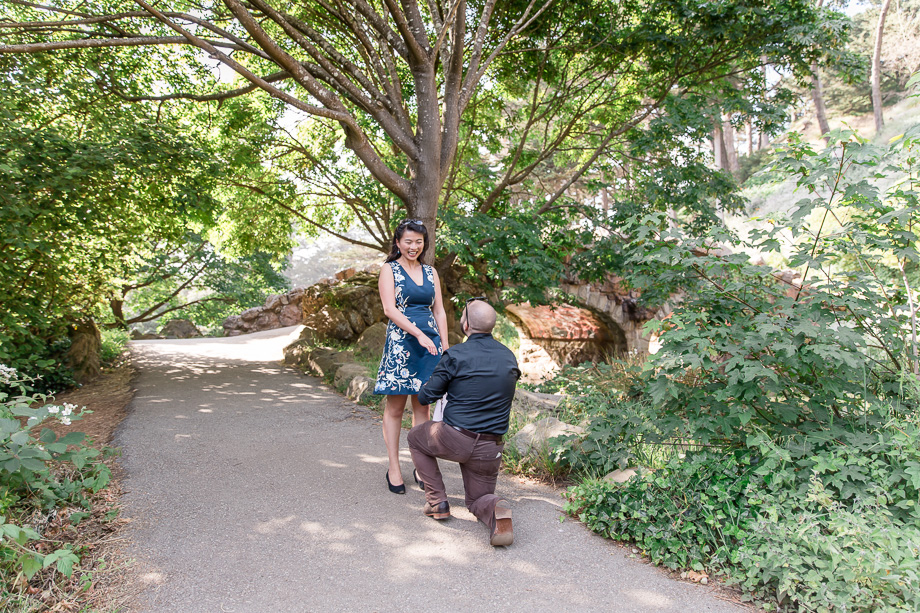 surprise proposal at the Stow Lake stone bridge