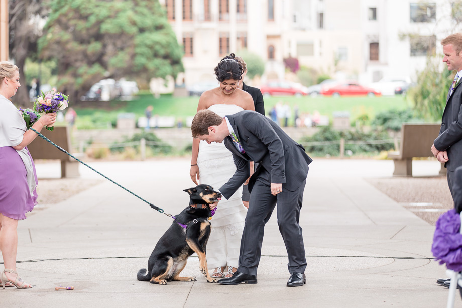 I love couples who gave their adorable puppies wedding duties at the ceremonies