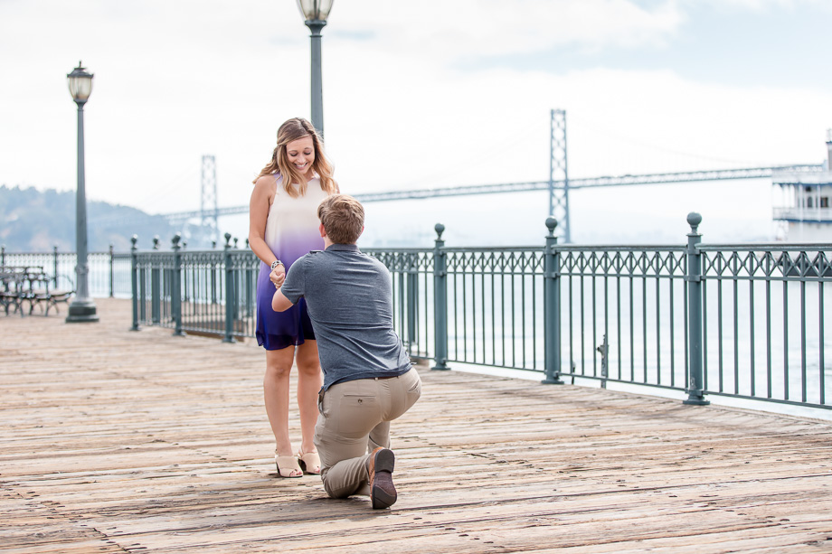 pier proposal in front of oakland bridge