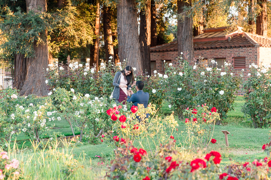 San Jose surprise proposal