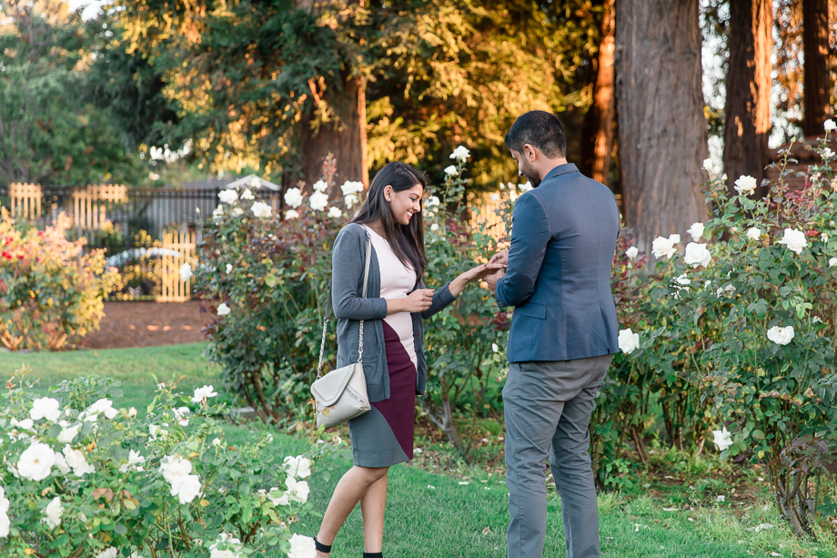 San Jose sunset surprise proposal