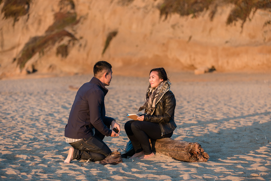 travel marriage proposal