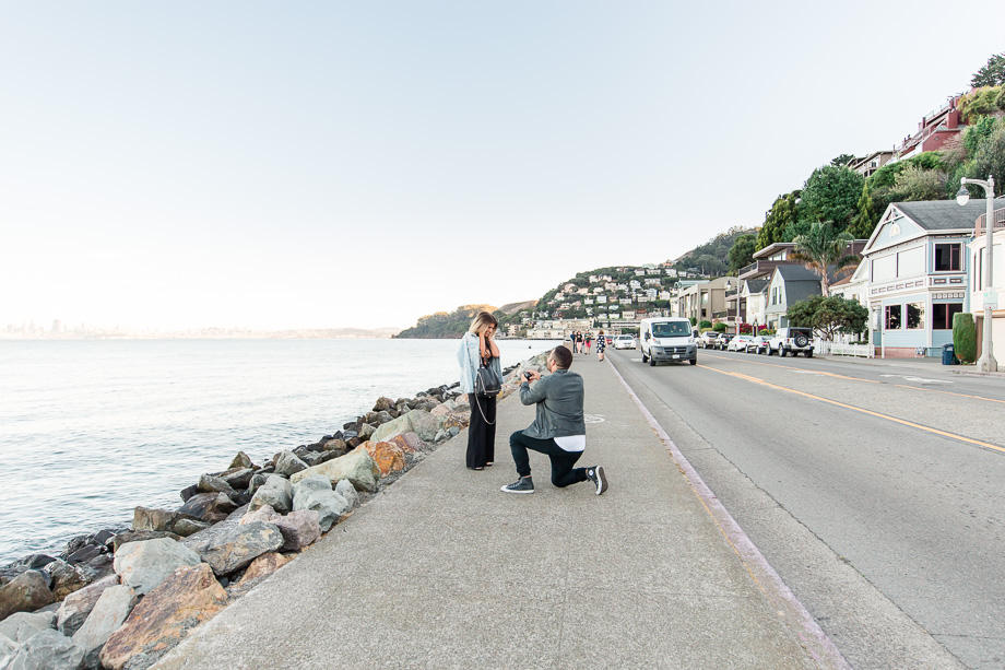 san francisco bay waterfront surprise proposal