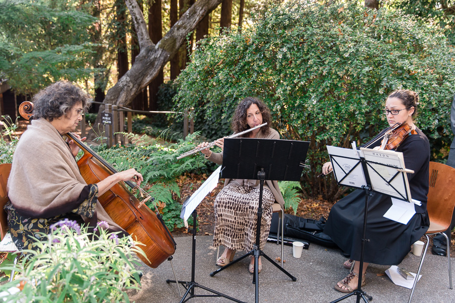 string quartet at the ceremony