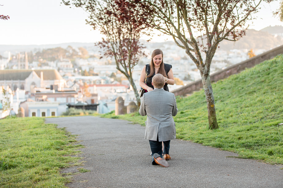 San Francisco city park surprise proposal
