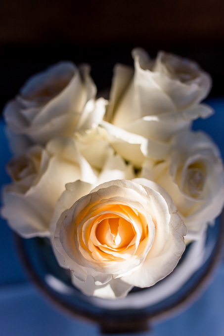 rose ceterpieces for cocktail tables