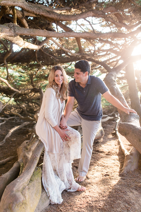 enchanted tree engagement photo along highway one - san francisco portrait photographer