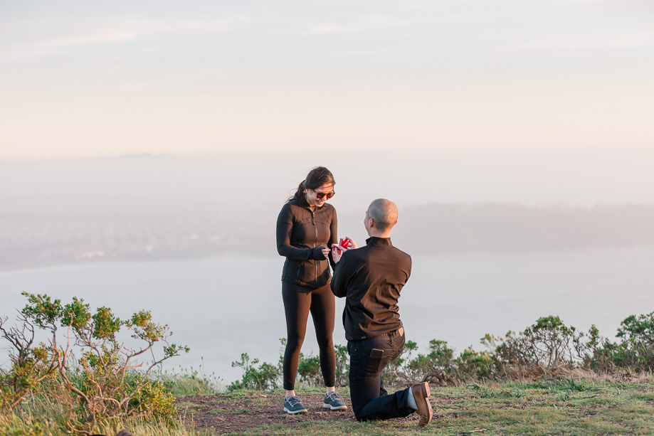 he popped the question